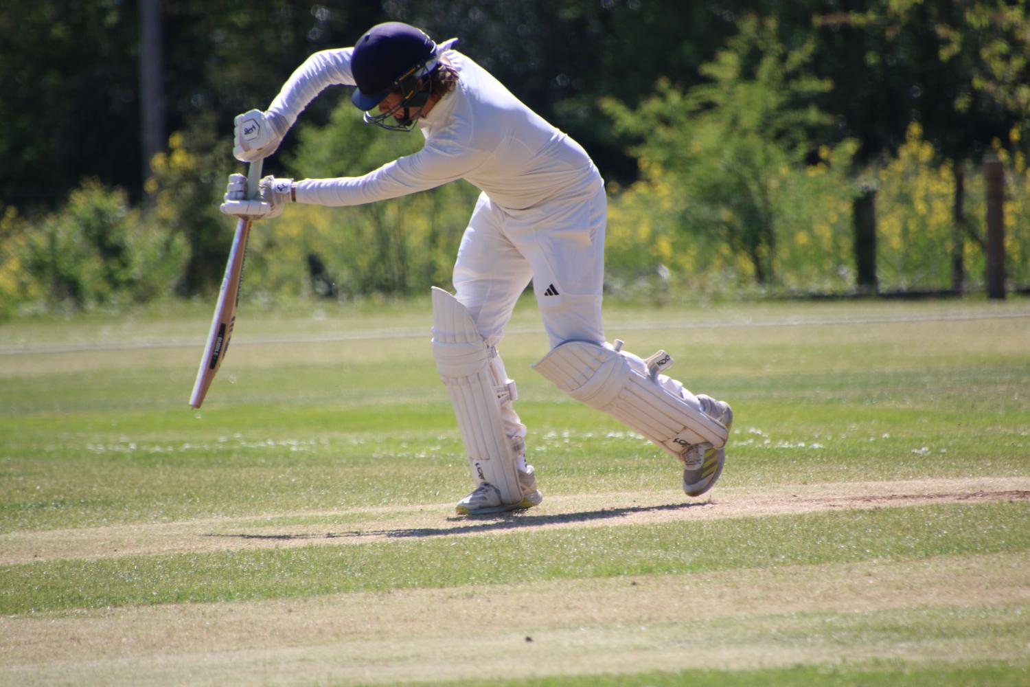 2026-04-25 Botany Bay Inter club - Botany Bay Cricket Club -  A top class cricket club for players of all ages and abilities