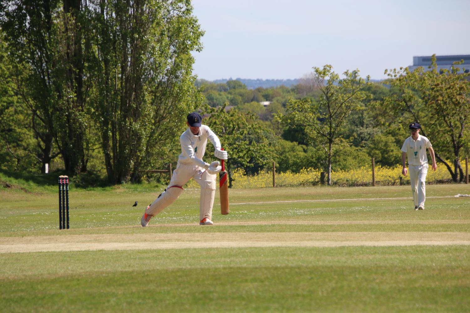 2026-04-25 Botany Bay Inter club - Botany Bay Cricket Club -  A top class cricket club for players of all ages and abilities