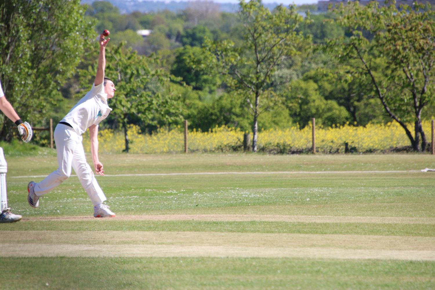 2026-04-25 Botany Bay Inter club - Botany Bay Cricket Club -  A top class cricket club for players of all ages and abilities