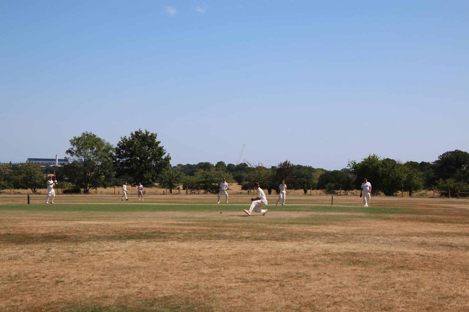 2026-07-12 Botany Bay President vs Chairman - Botany Bay Cricket Club -  A top class cricket club for players of all ages and abilities