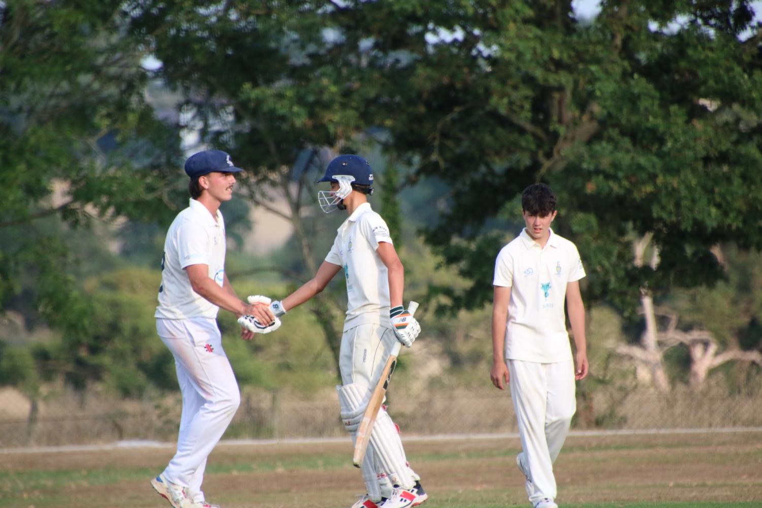 2025-07-13 Botany Bay President vs Chairman - Botany Bay Cricket Club -  A top class cricket club for players of all ages and abilities