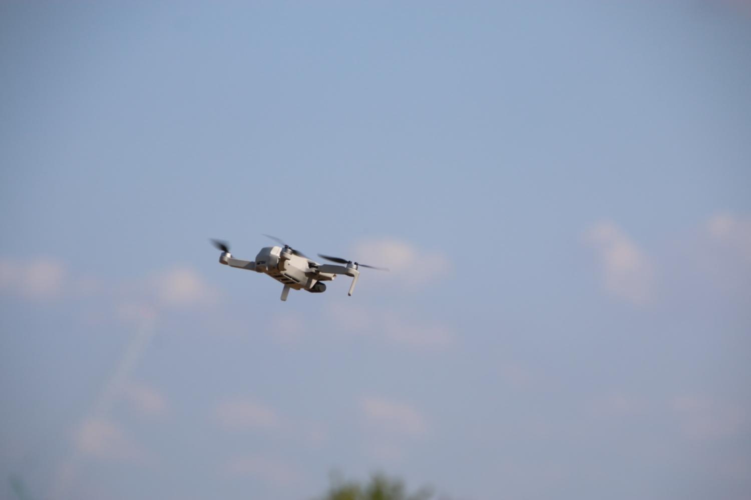 2025-07-13 Botany Bay President vs Chairman - Botany Bay Cricket Club -  A top class cricket club for players of all ages and abilities