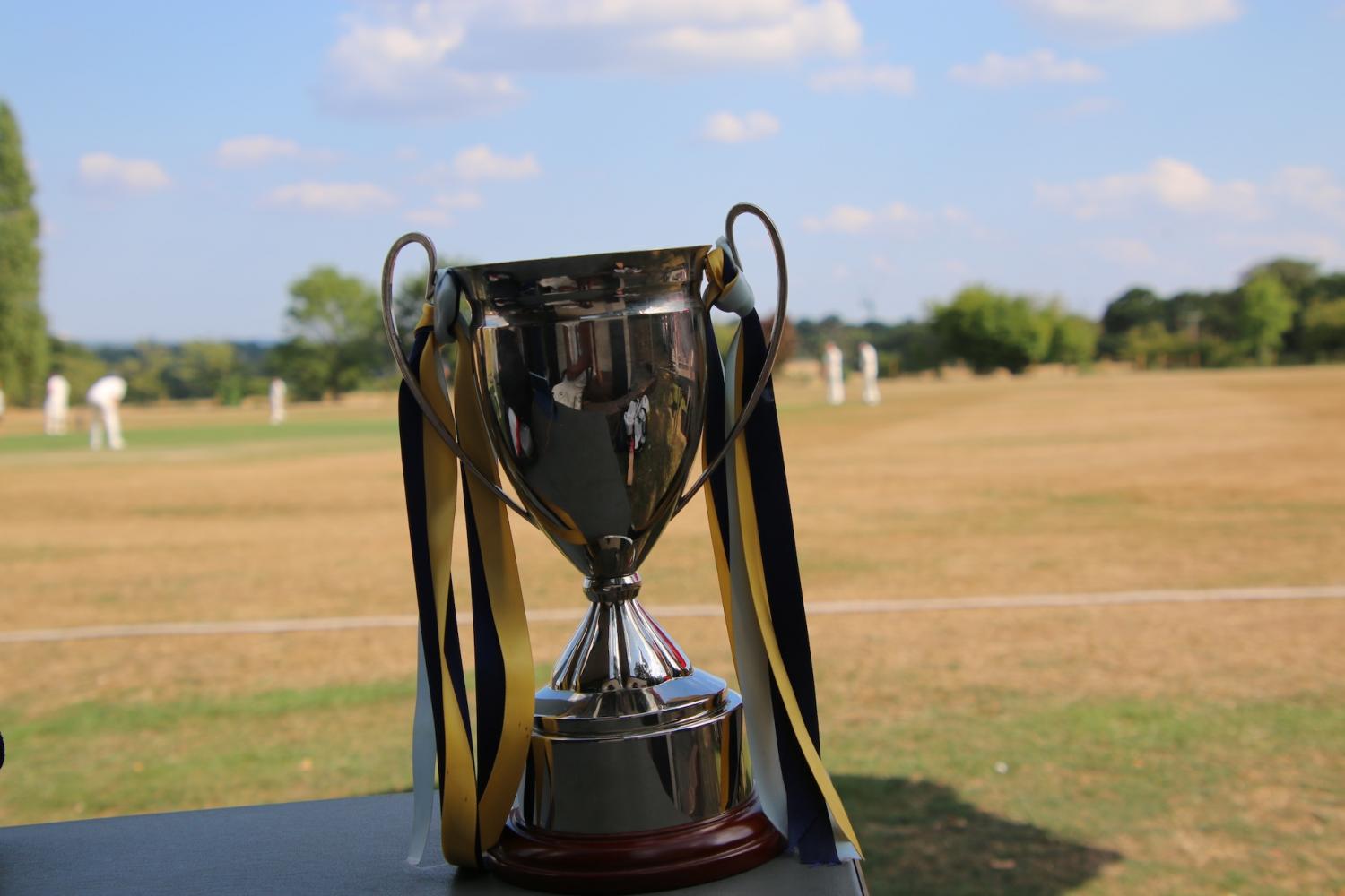 2025-07-13 Botany Bay President vs Chairman - Botany Bay Cricket Club -  A top class cricket club for players of all ages and abilities