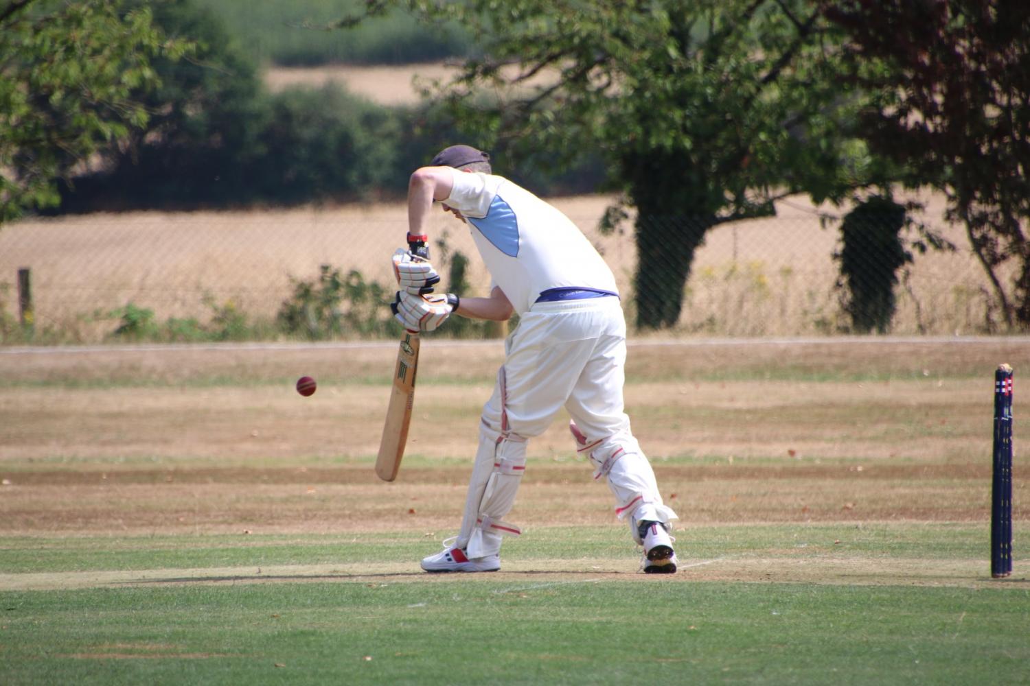 2025-07-13 Botany Bay President vs Chairman - Botany Bay Cricket Club -  A top class cricket club for players of all ages and abilities