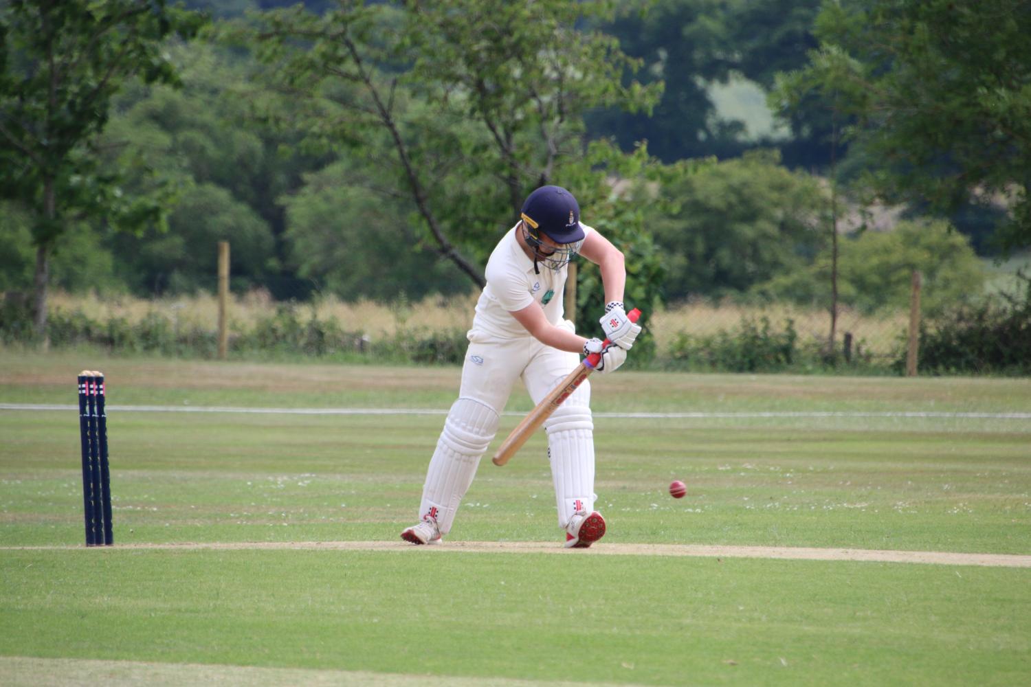 2025-06-15 Botany Bay vs WillowTree - Botany Bay Cricket Club -  A top class cricket club for players of all ages and abilities
