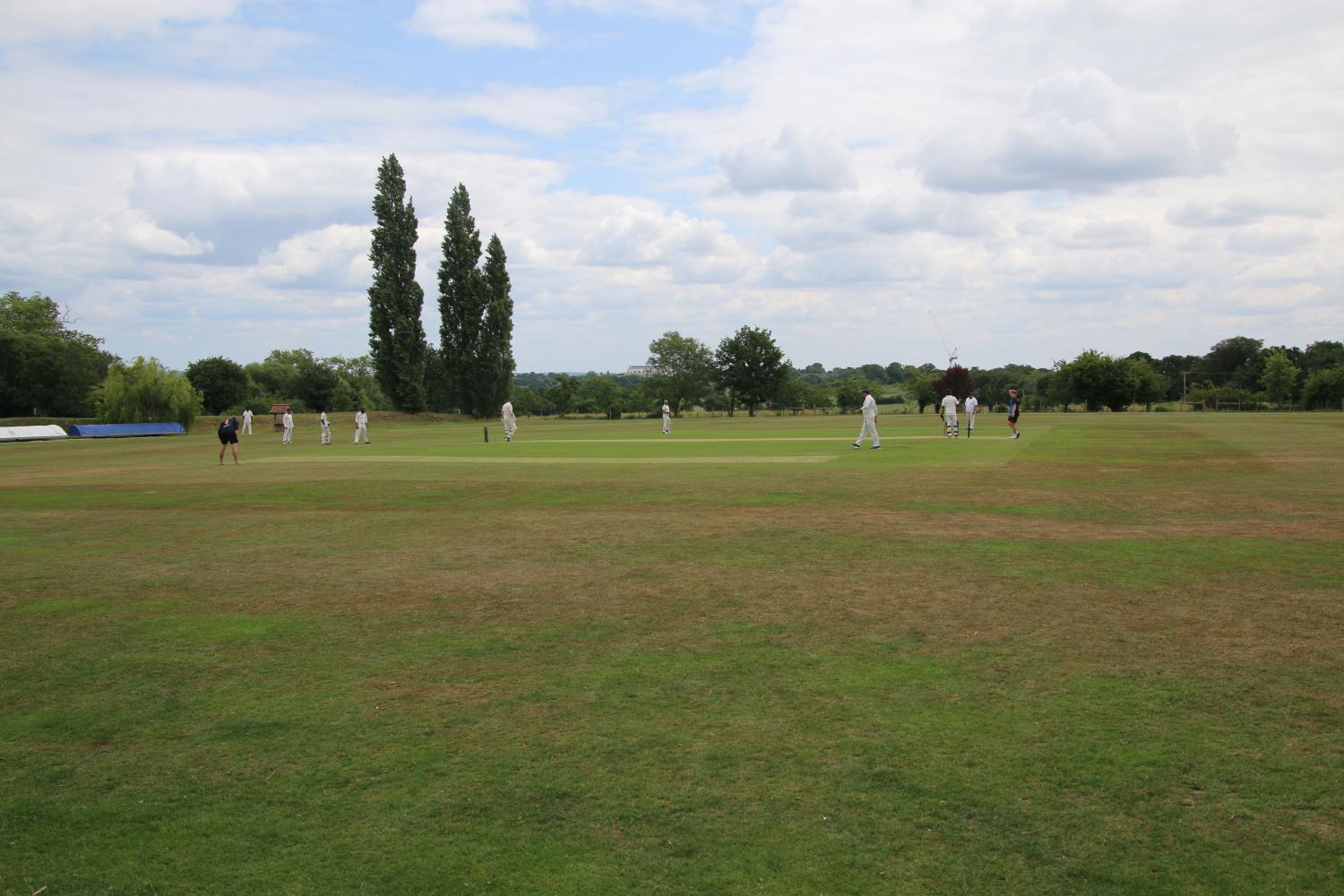 2025-06-15 Botany Bay vs WillowTree - Botany Bay Cricket Club -  A top class cricket club for players of all ages and abilities